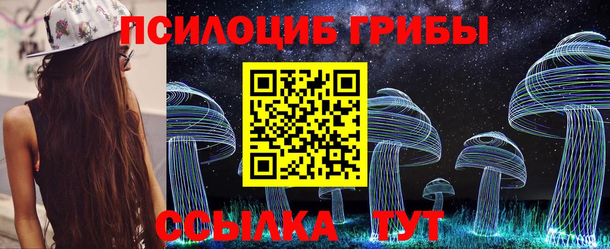 Братск  Псилоцибиновые грибы GOLDEN TEACHER  Галлюциногенные грибы Magic Shrooms  Вход с VPN 