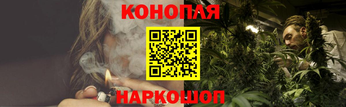 Братск  Каннабис OG Kush  Вход с VPN  Канабис THC 21%  Конопля сатива  Канабис план 
